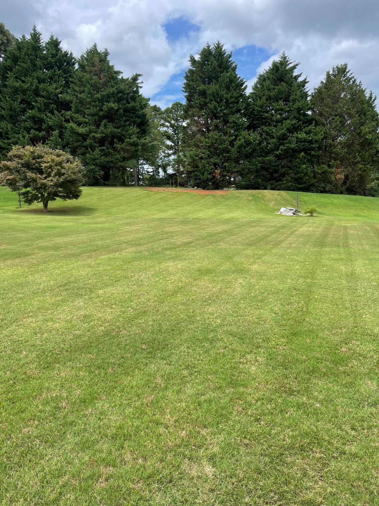 A large lush green field with trees in the background.