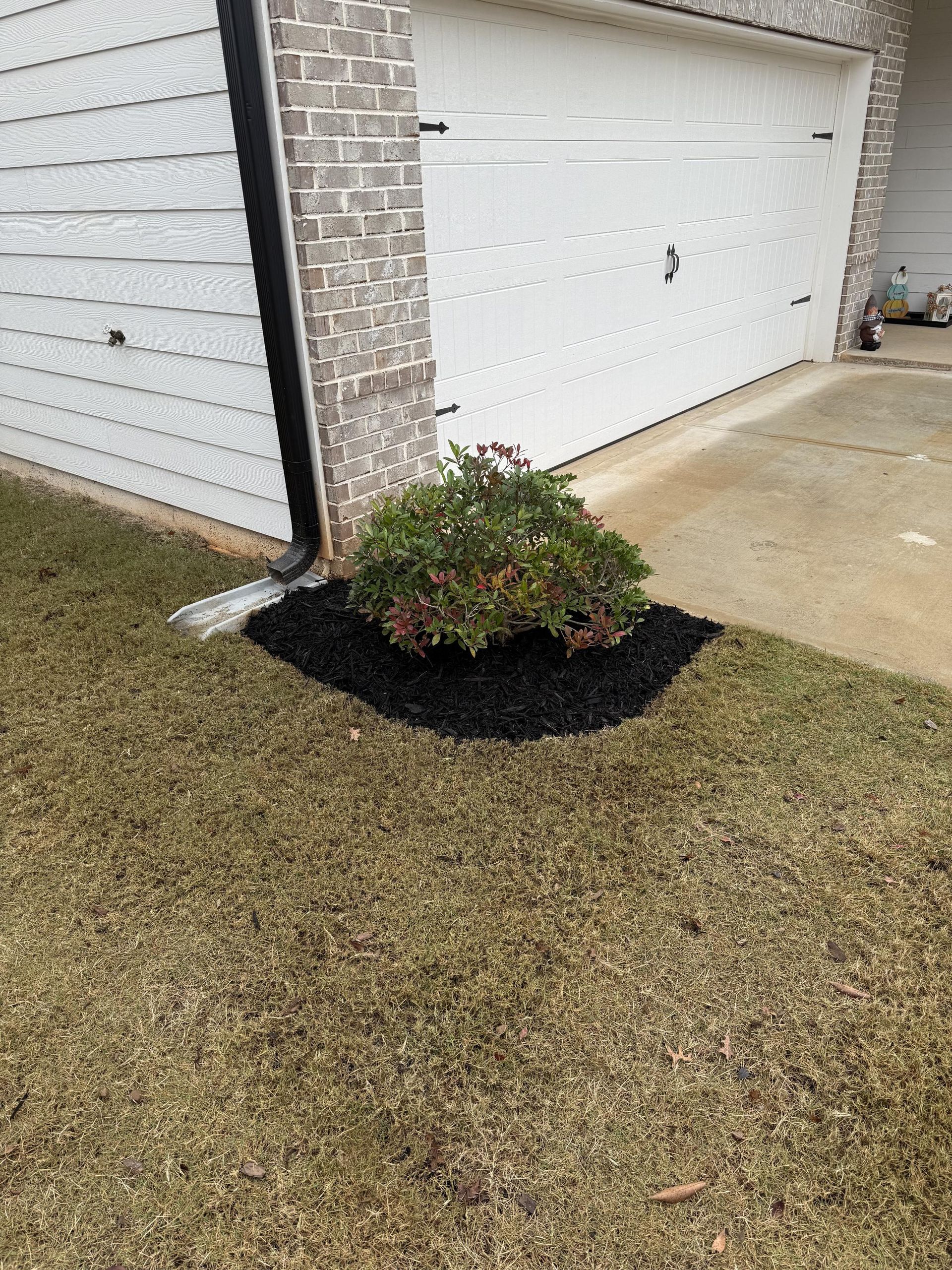 A small bush is sitting in the grass in front of a garage door.