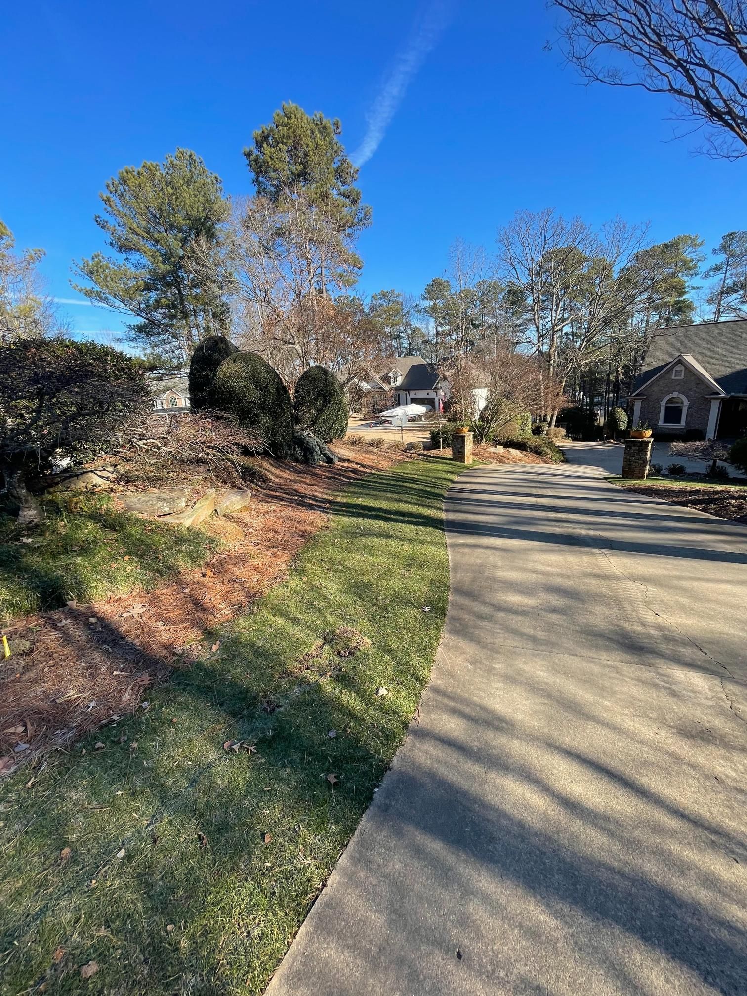 A concrete walkway leading to a house in a residential neighborhood.