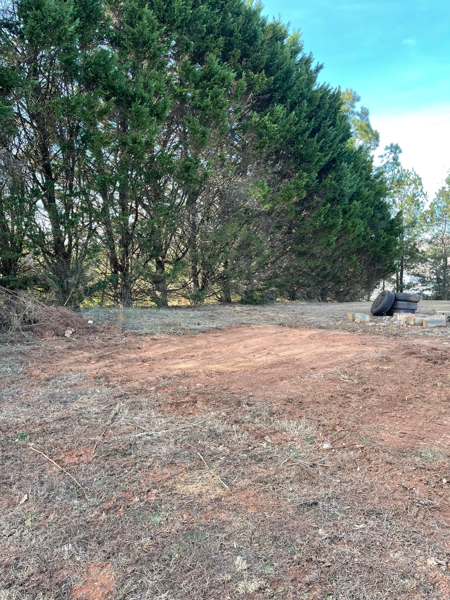 A dirt field with trees in the background and a blue sky in the background.