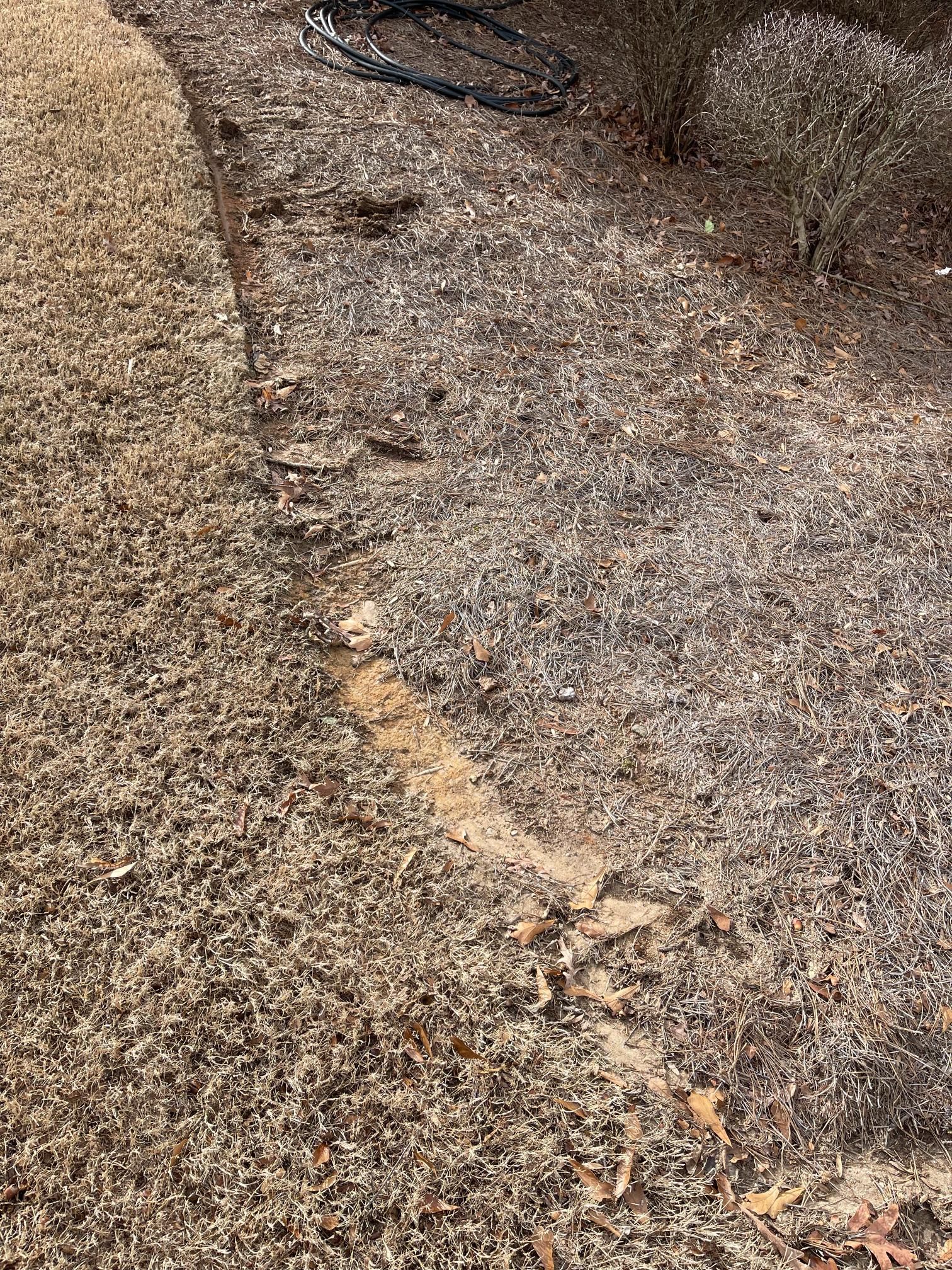 A close up of a pile of dirt on the ground.