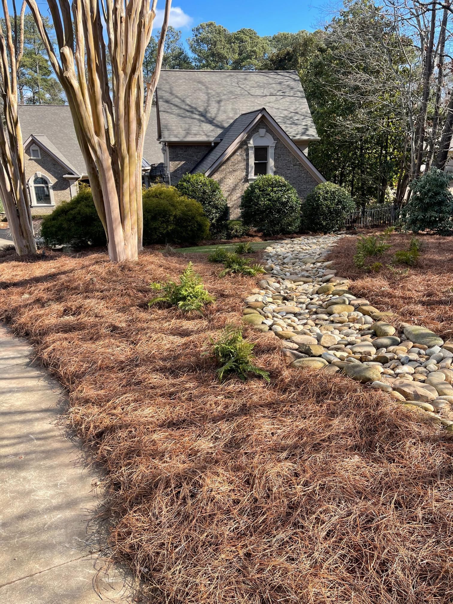 A house with a stone walkway leading to it is surrounded by trees and mulch.
