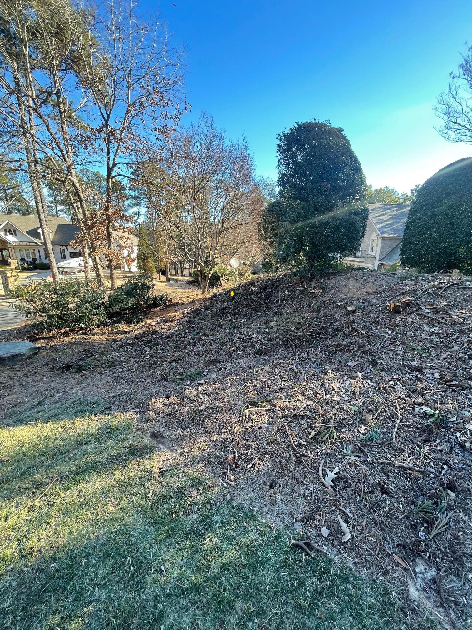 There is a lot of leaves on the ground in the backyard.