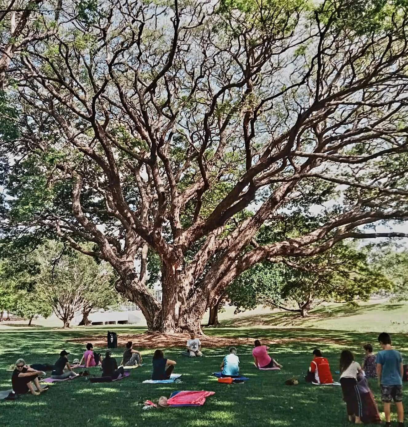 People relaxing on grass beneath a large leafy tree in a park