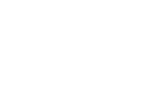 Northeast Kingdom Online logo in white with a transparent background.