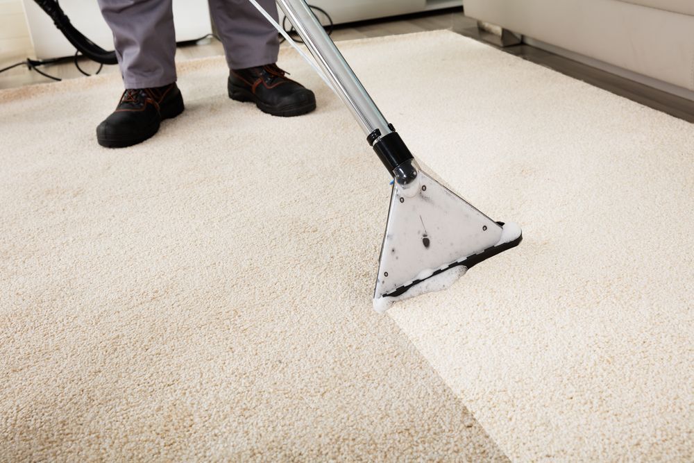 A person is cleaning a white carpet with a vacuum cleaner.