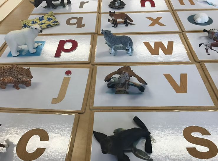 montessori language materials
