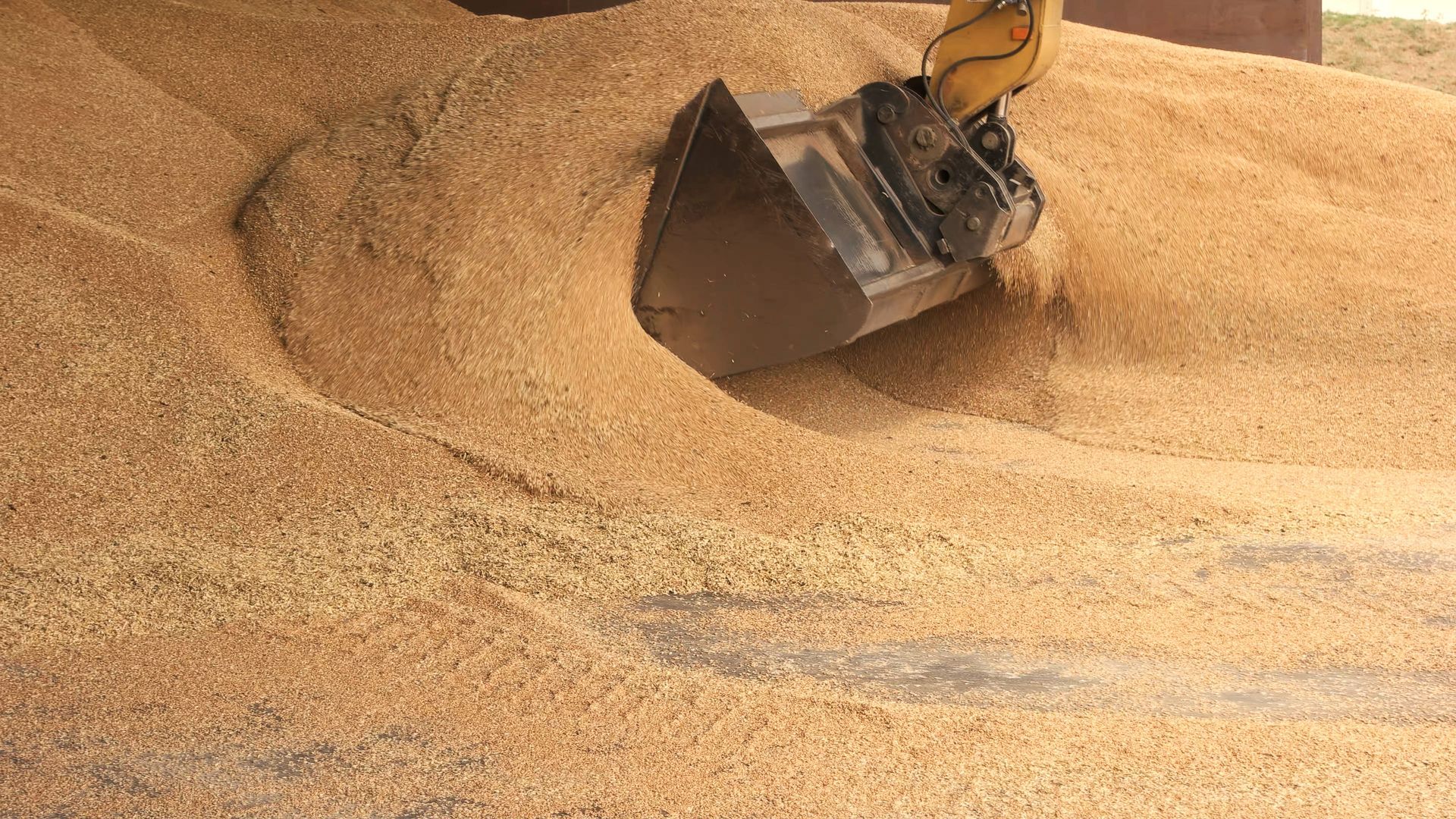 A small excavator scoop is filling with grain at a storage facility.