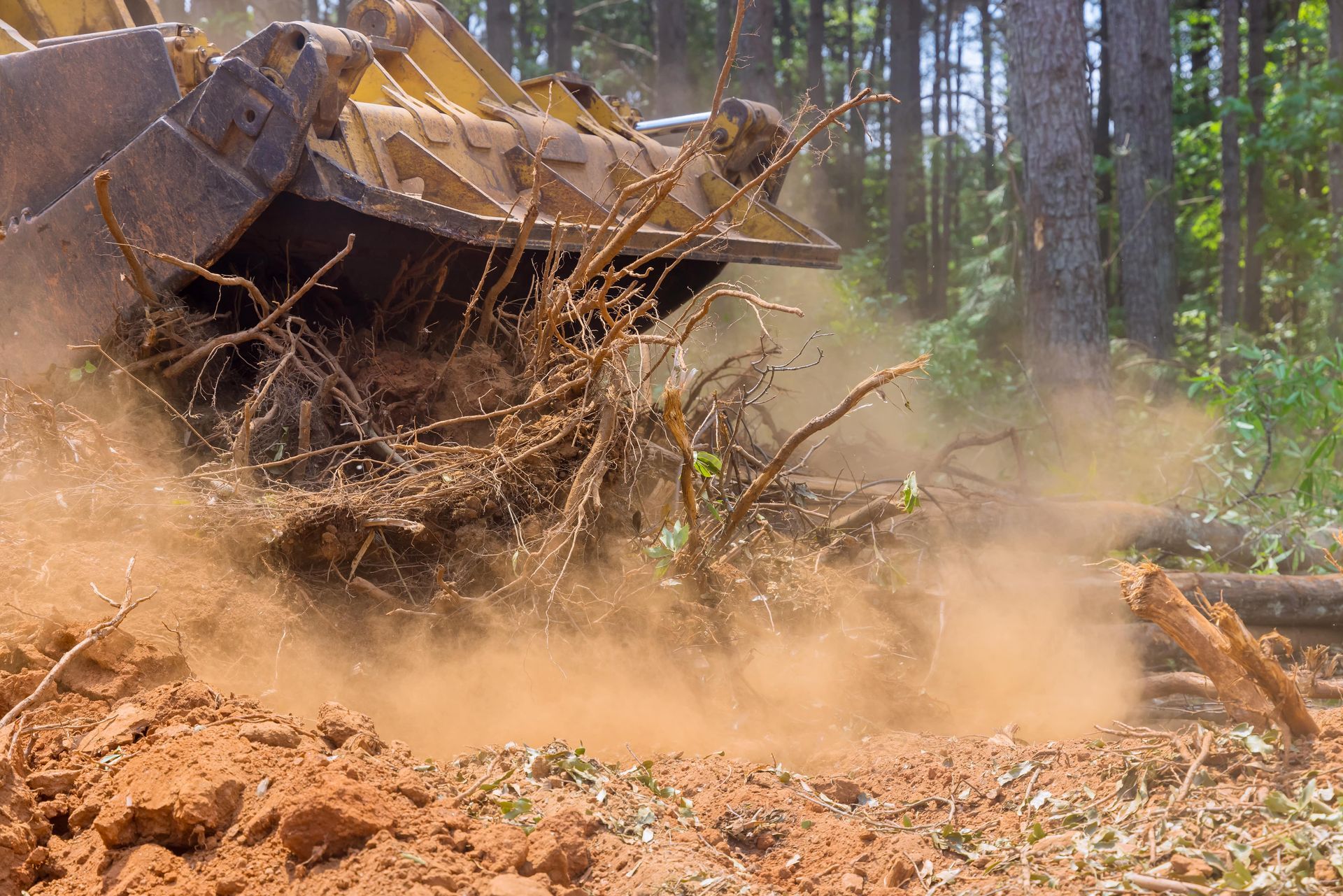 A bulldozer digs up roots and soil in a forest, kicking up dust.