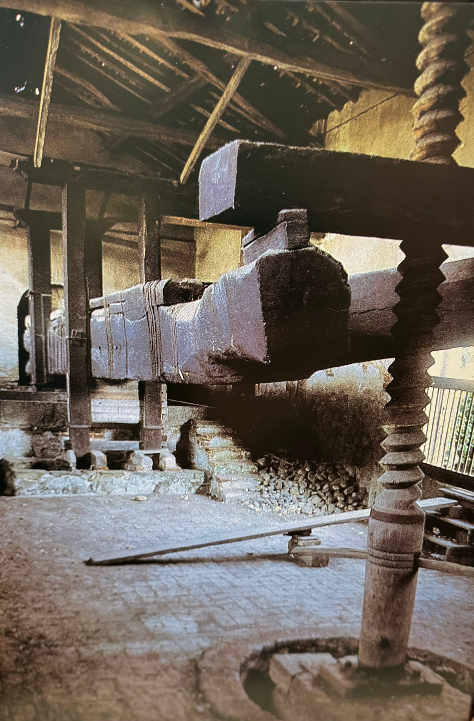Una donna che indossa un cappello rosso sta guardando un albero.