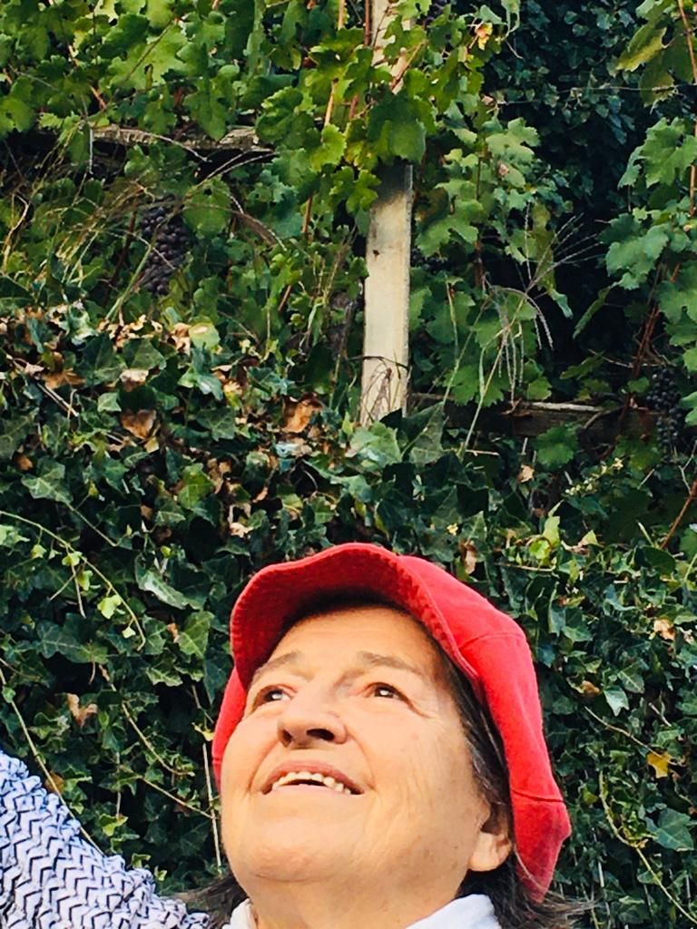 Una donna che indossa un cappello rosso sta guardando un albero.