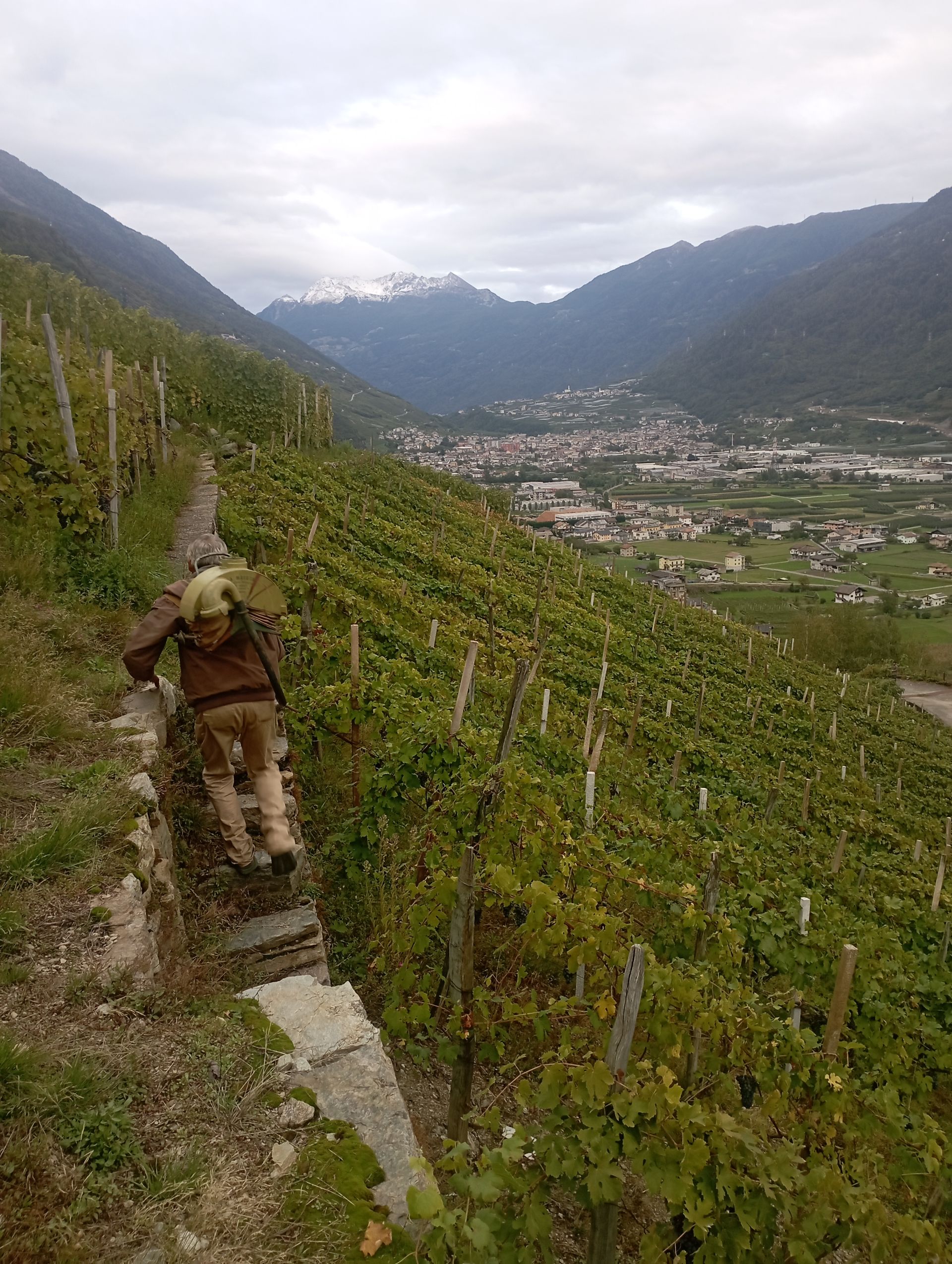 Una vista di una collina verdeggiante con un cielo nuvoloso sullo sfondo