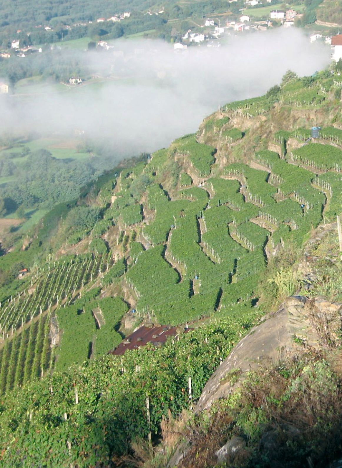 Una vista di una collina verdeggiante con un cielo nuvoloso sullo sfondo