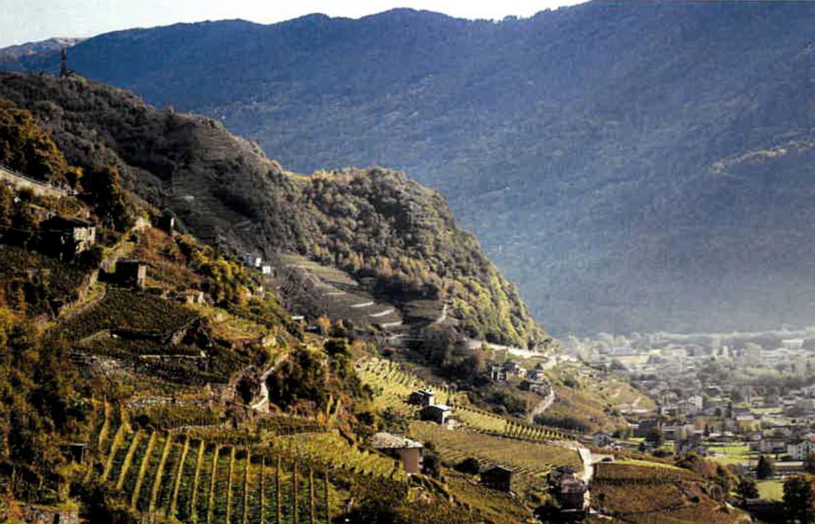 Una vista di una valle con le montagne sullo sfondo