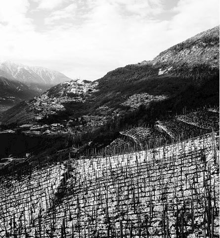 Una foto in bianco e nero di una valle con montagne sullo sfondo
