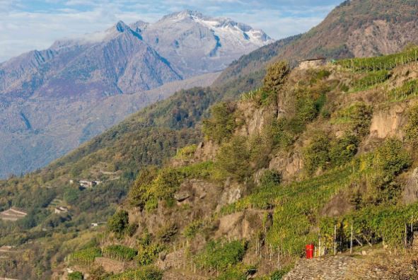 Un'immagine sfocata di un paesaggio montano con alberi e montagne sullo sfondo.