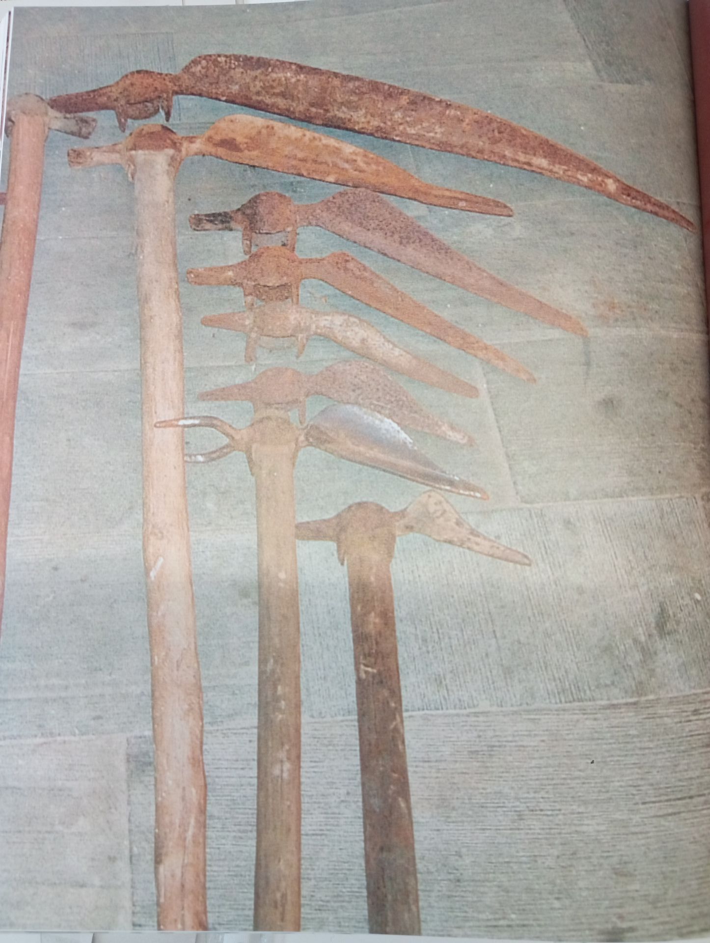 Un'immagine sfocata di un paesaggio montano con alberi e montagne sullo sfondo.