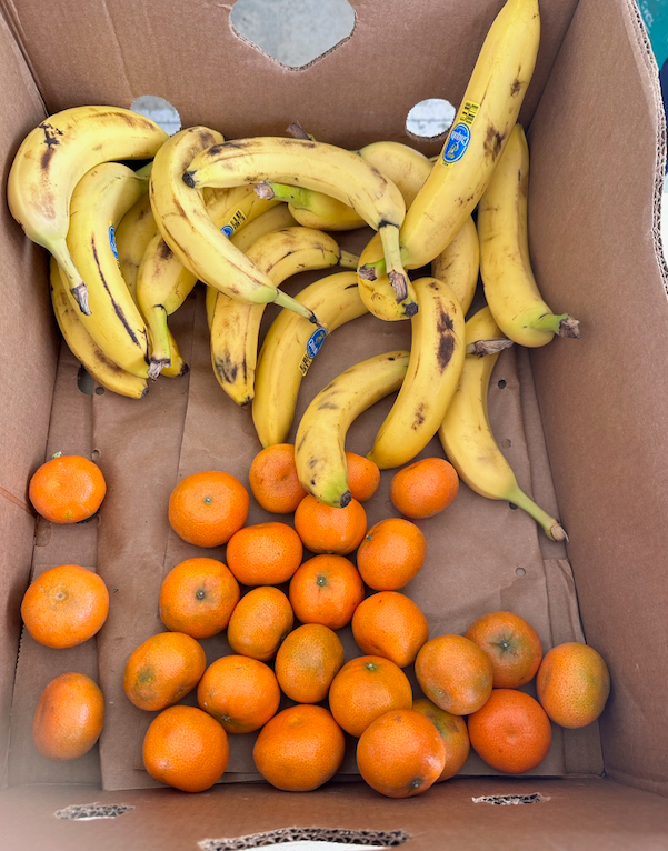 Box of bananas and tangerines. Yellow bananas with brown spots rest above a pile of small orange tangerines.