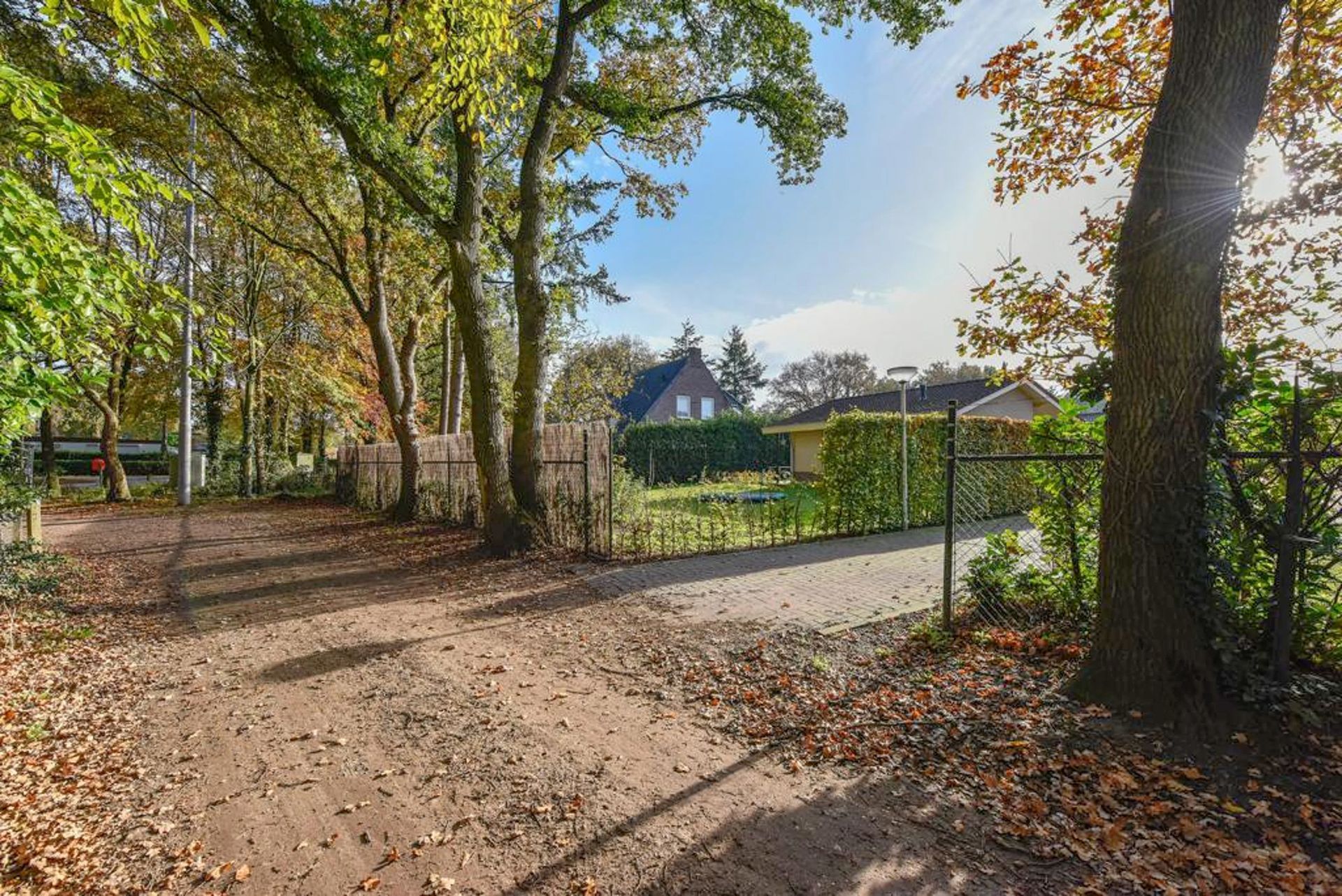 Een onverharde weg omgeven door bomen en bladeren, met een hek op de achtergrond.