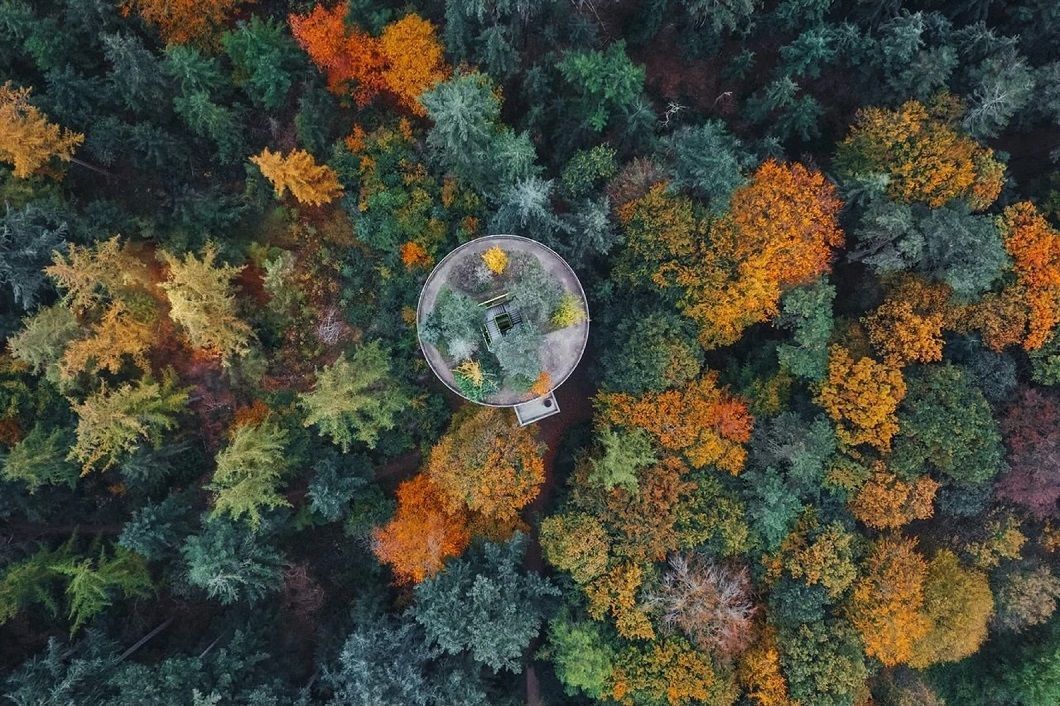 Een luchtfoto van een bos met bomen die van kleur veranderen in de herfst.