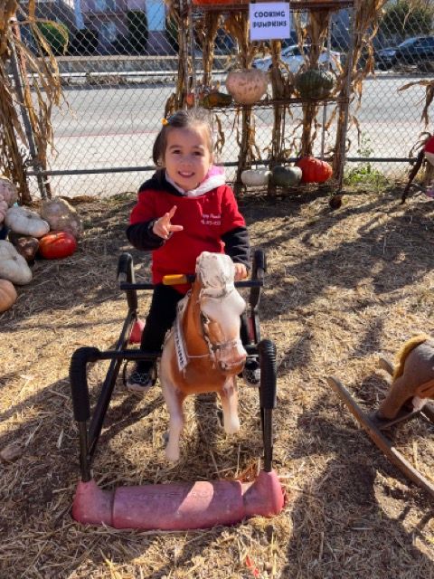 A little girl is riding a pony in a wheelchair