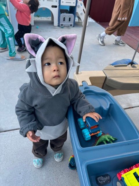 A baby wearing a raccoon costume is playing with toys