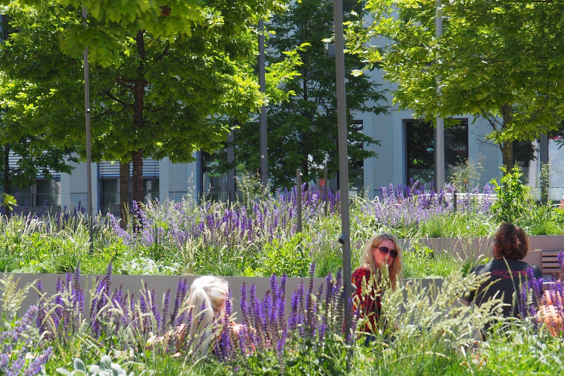 A woman in sunglasses sits in a field of purple flowers
