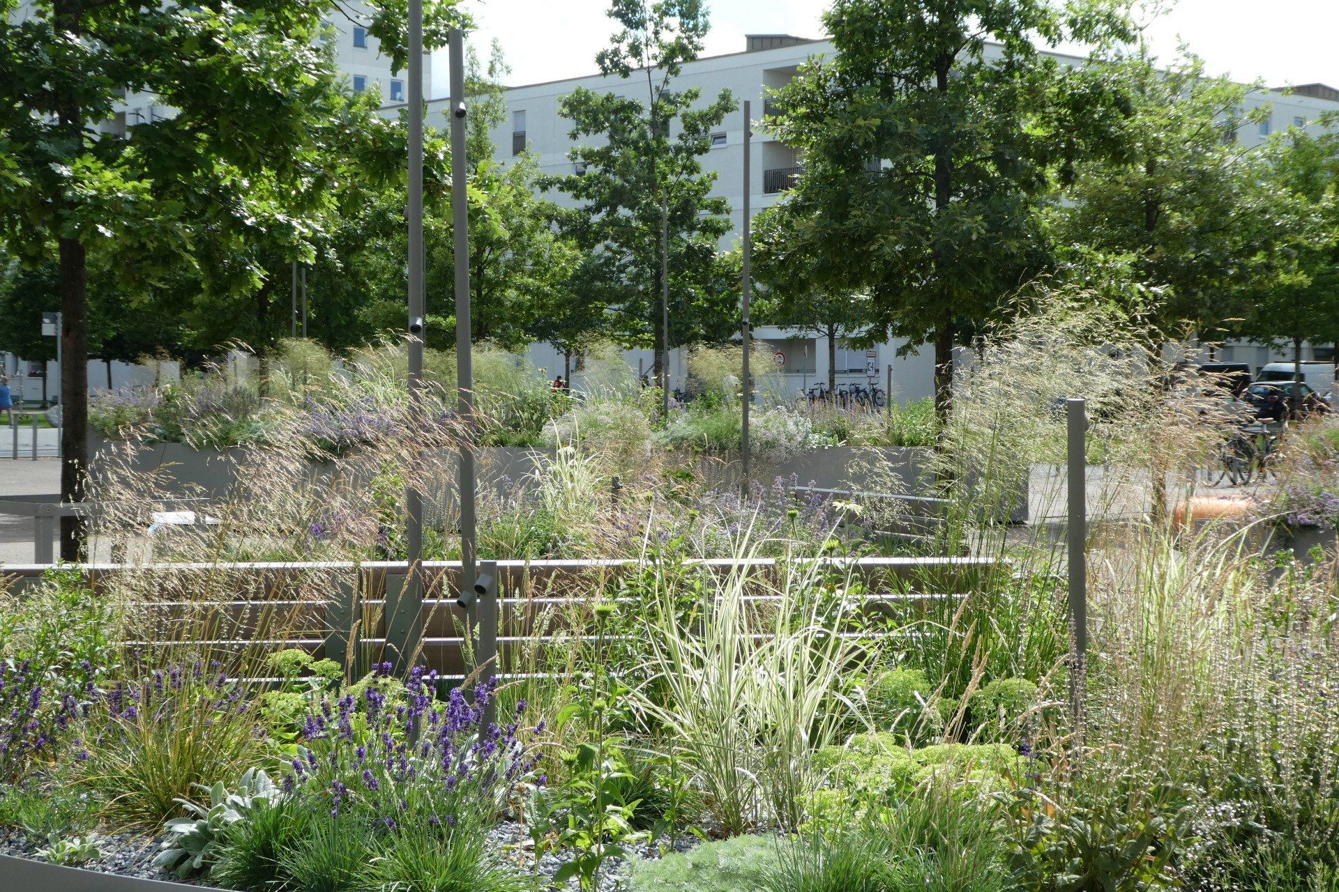A garden with lots of plants and trees in front of a building