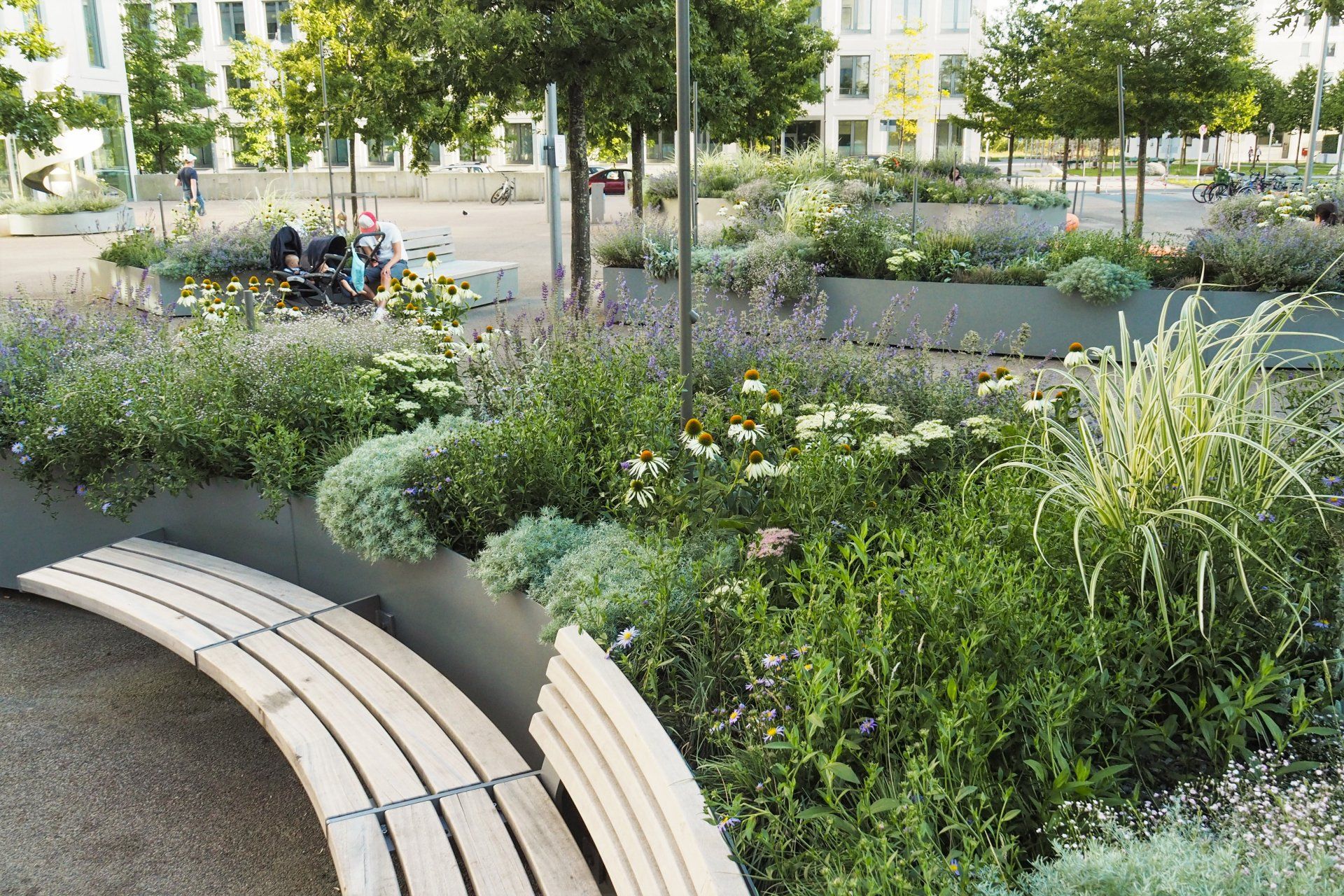 A wooden bench is sitting in the middle of a garden surrounded by plants.