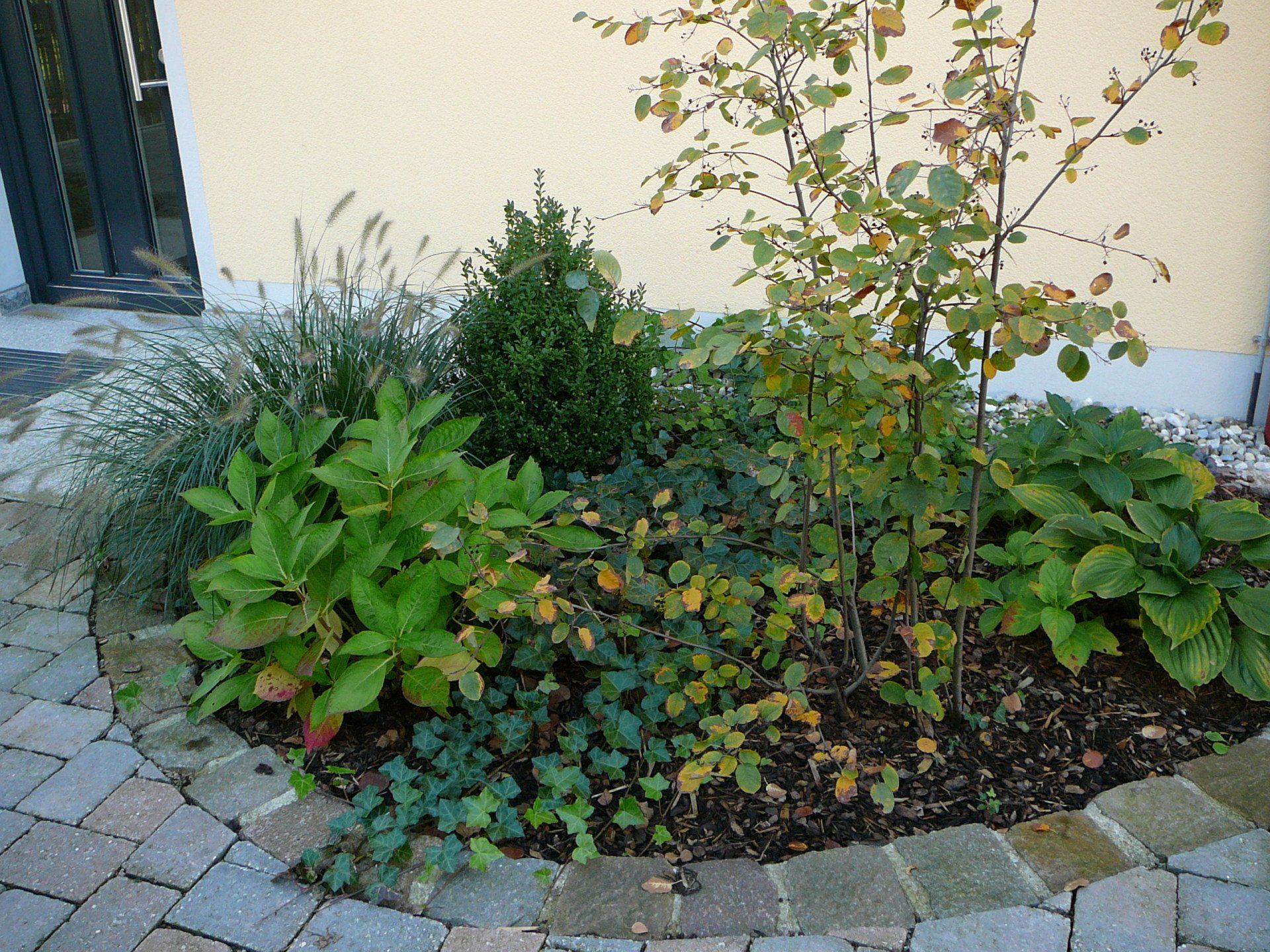 A garden with lots of plants and trees in front of a house