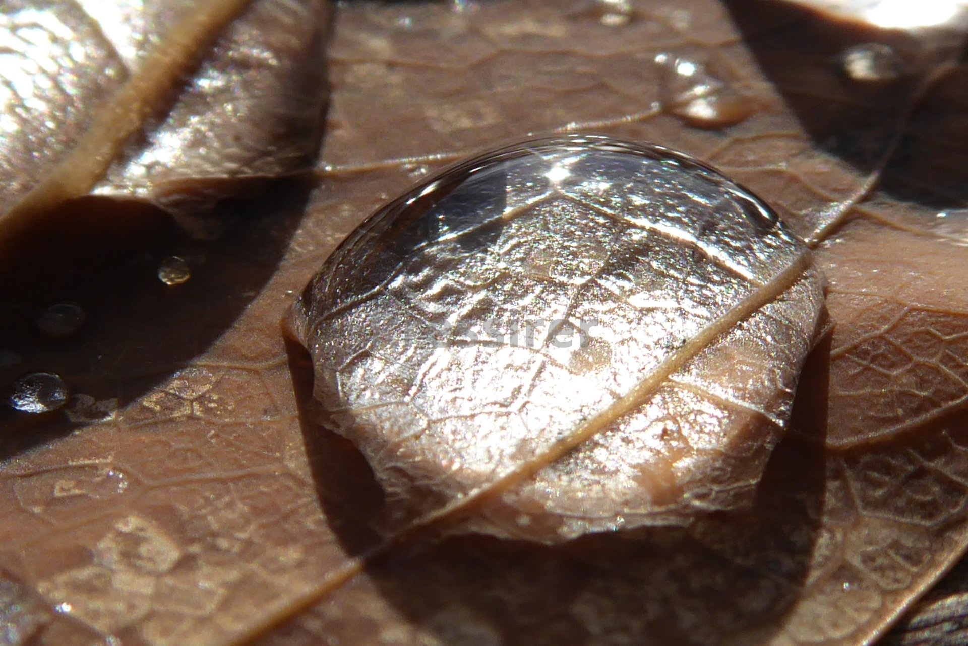 A close up of a water drop on a leaf