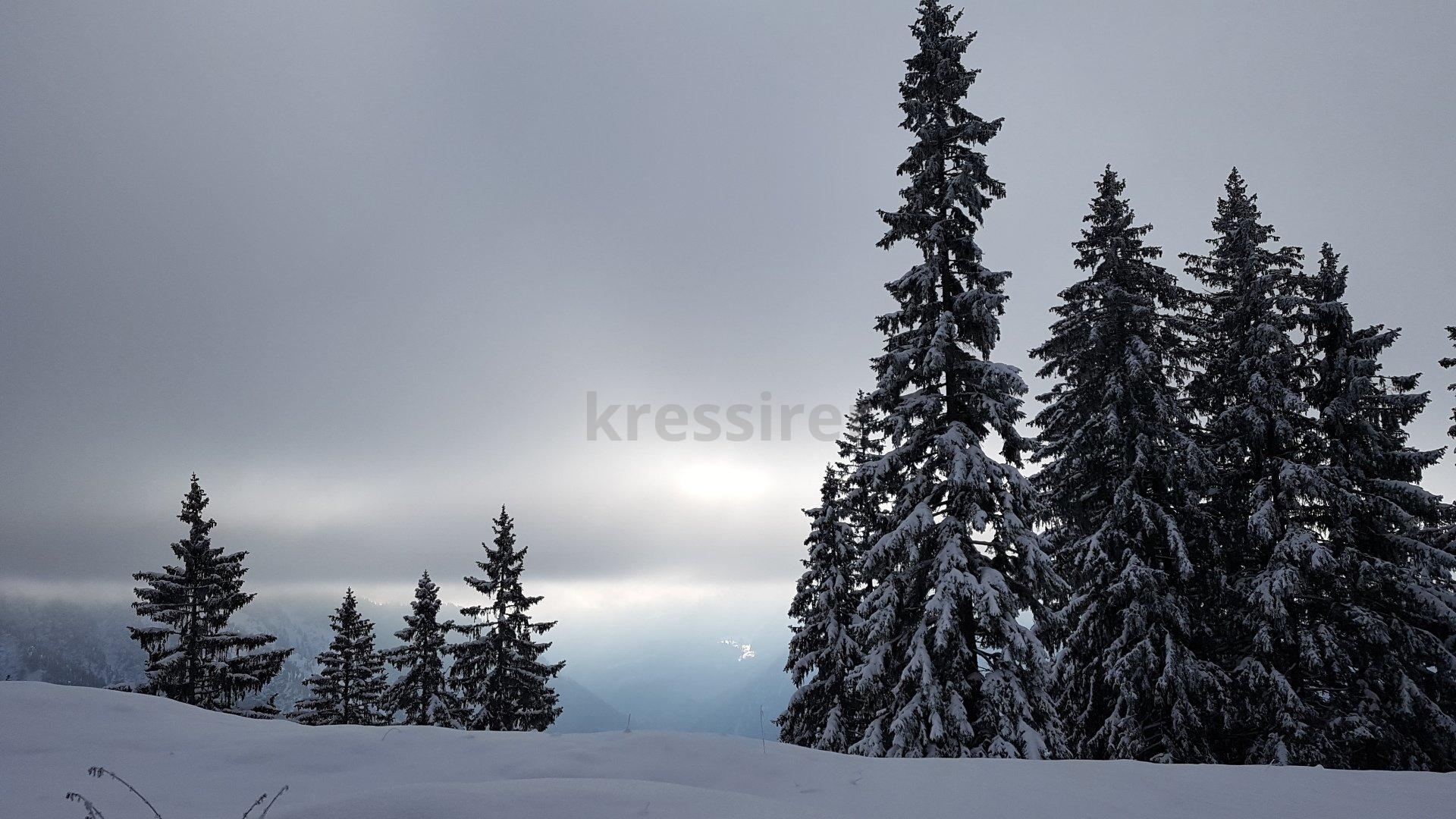 A snowy forest with the word kressire on the bottom