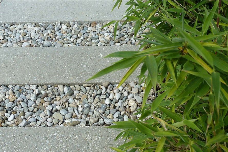 A bamboo plant is growing next to a stone walkway