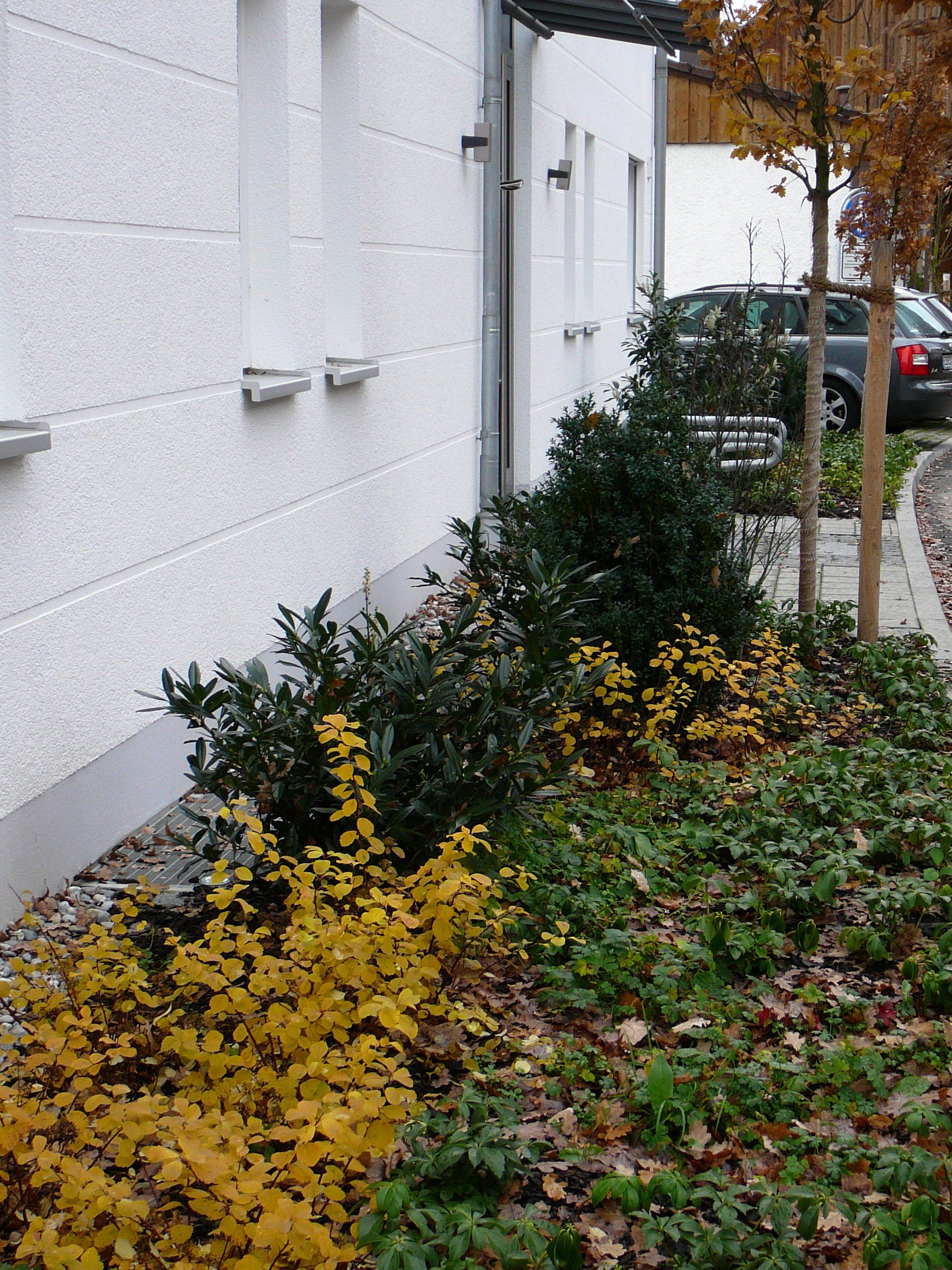 A white building with a lot of plants in front of it