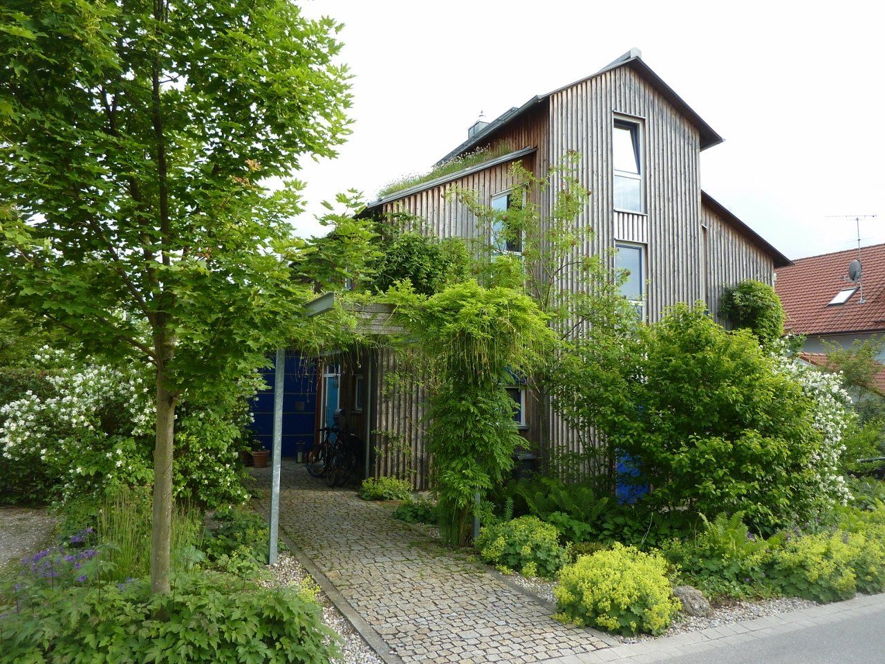 A house with a wooden facade is surrounded by trees and bushes