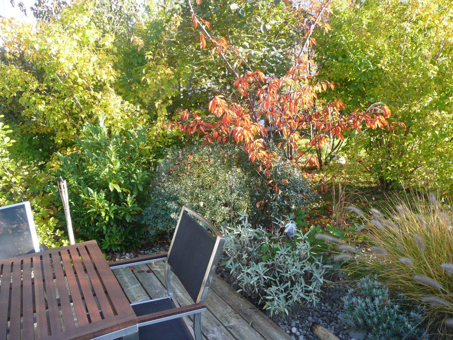 A table and chairs are sitting on a wooden deck surrounded by trees.