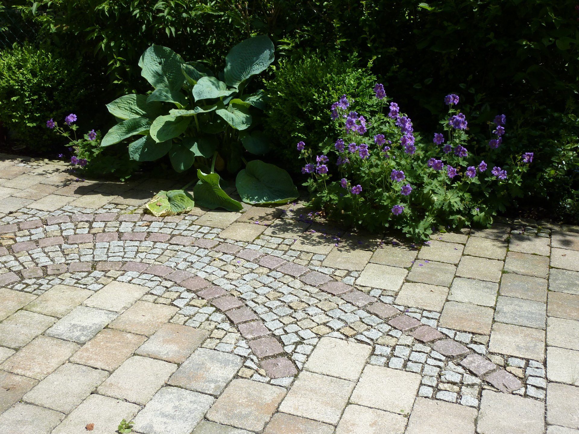 A brick walkway with purple flowers in the background