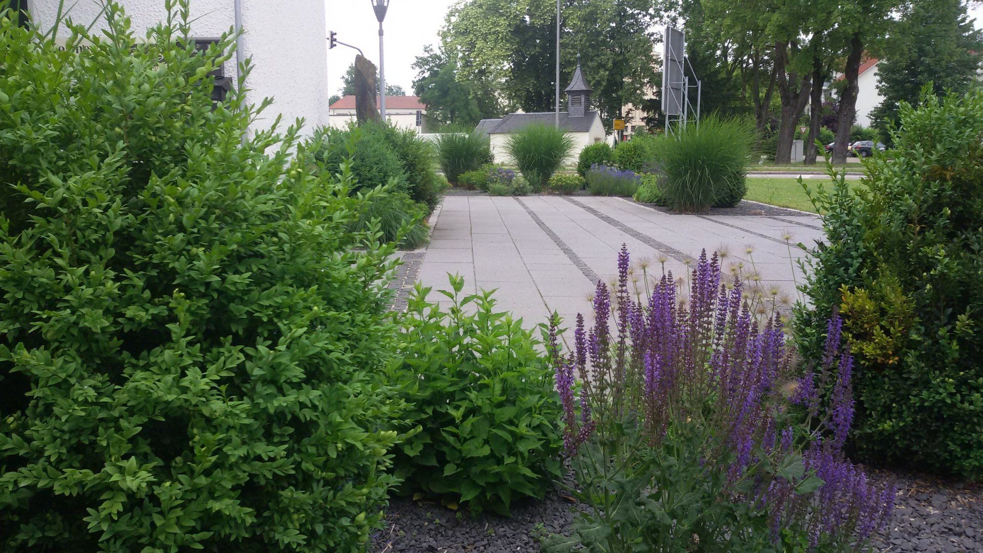 A brick walkway surrounded by bushes and purple flowers.