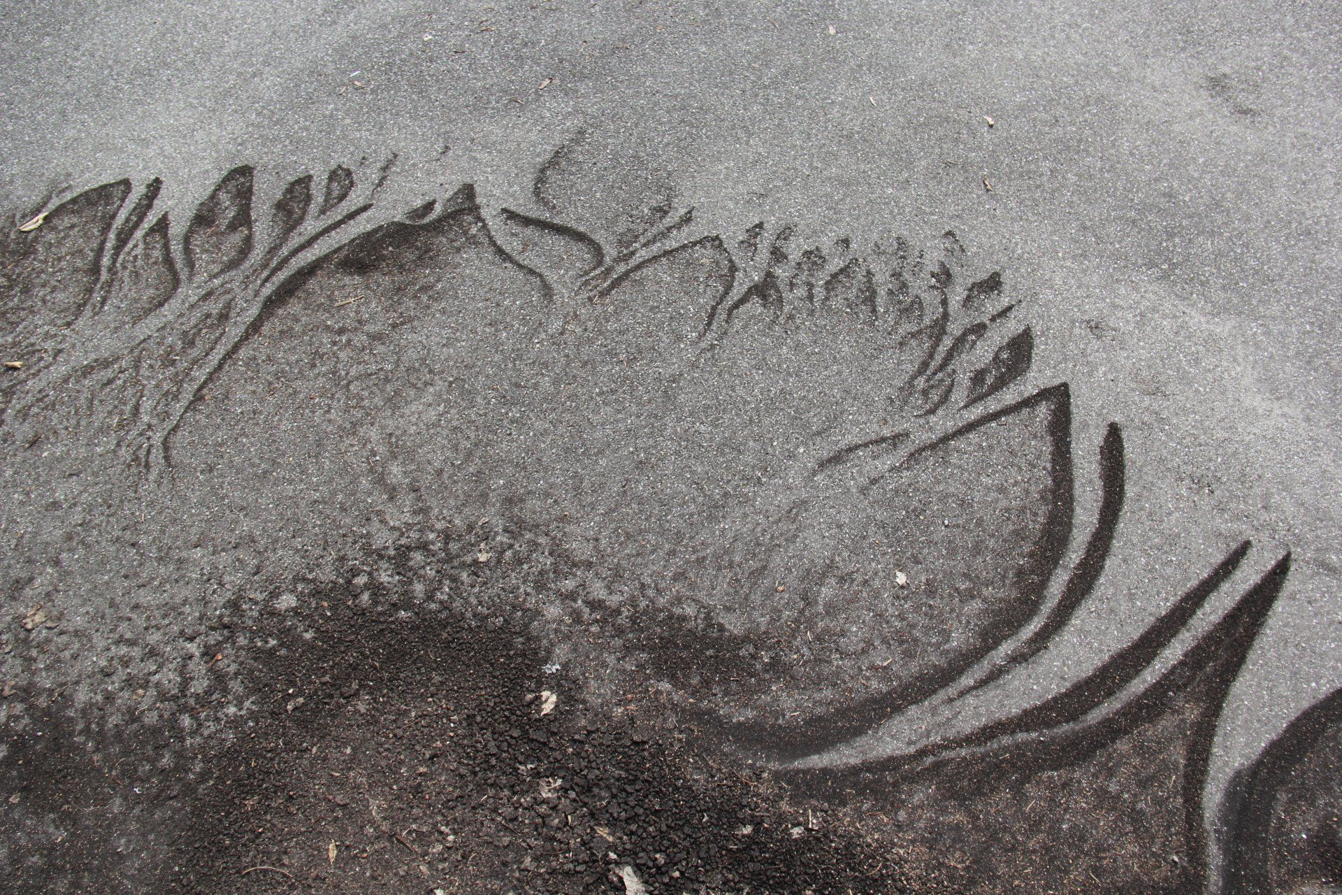 A close up of a drawing on a concrete surface.