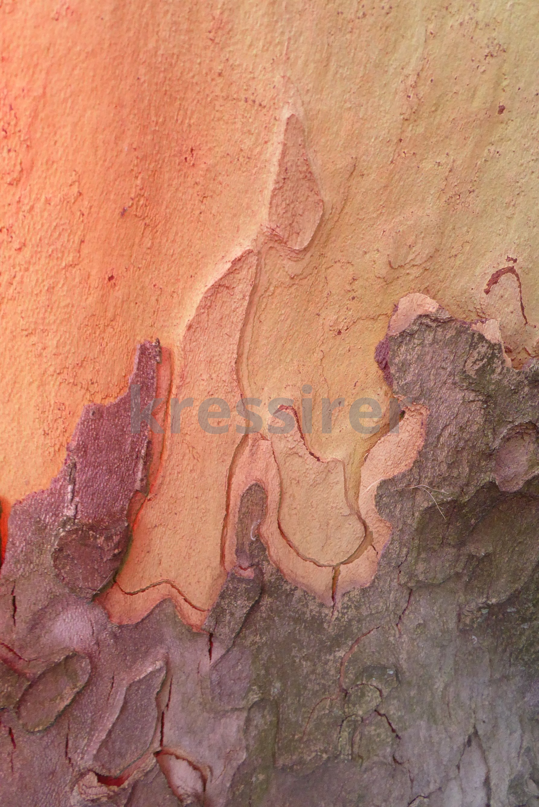 A close up of a painting on a wall.