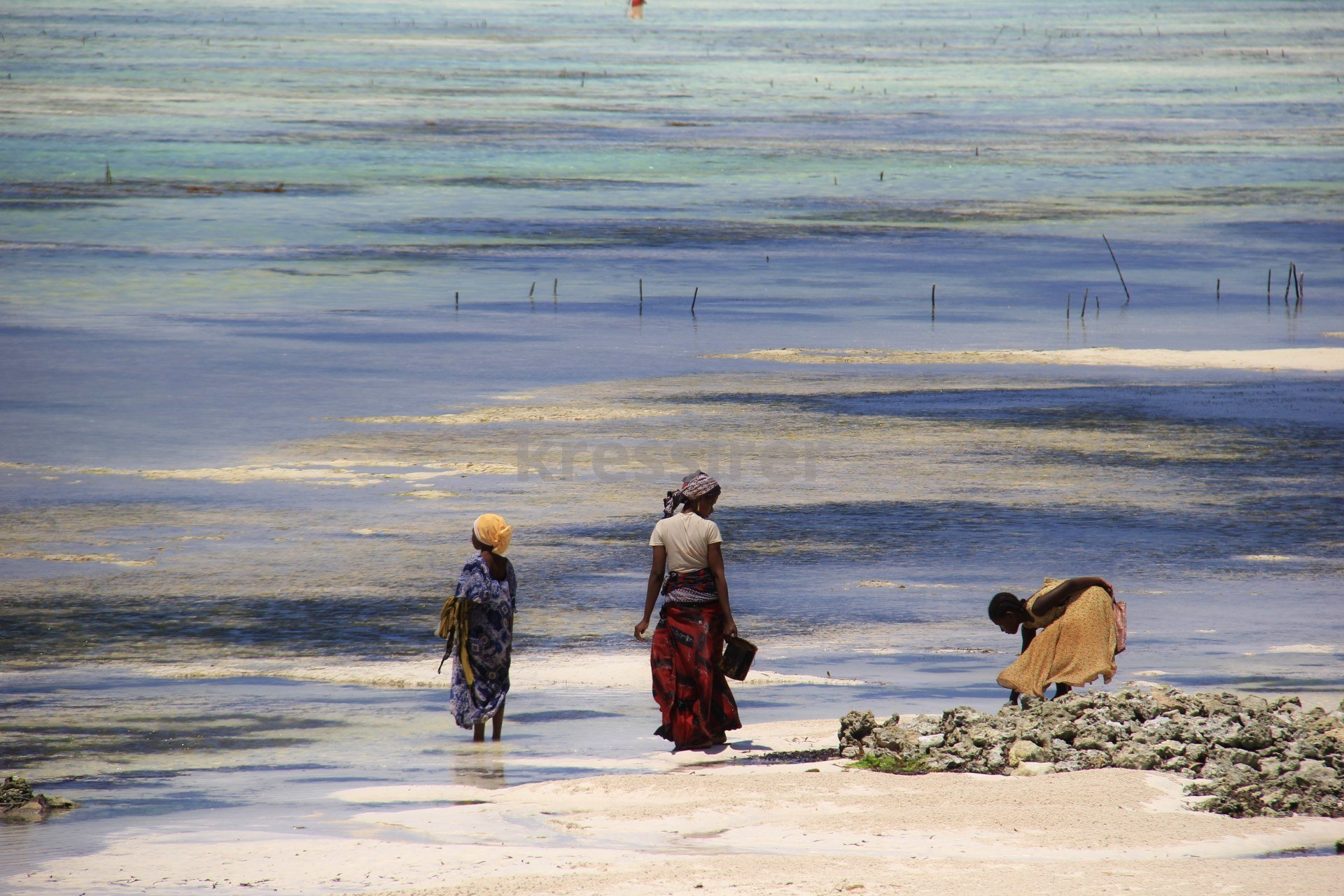 Three people are walking on a beach near the ocean