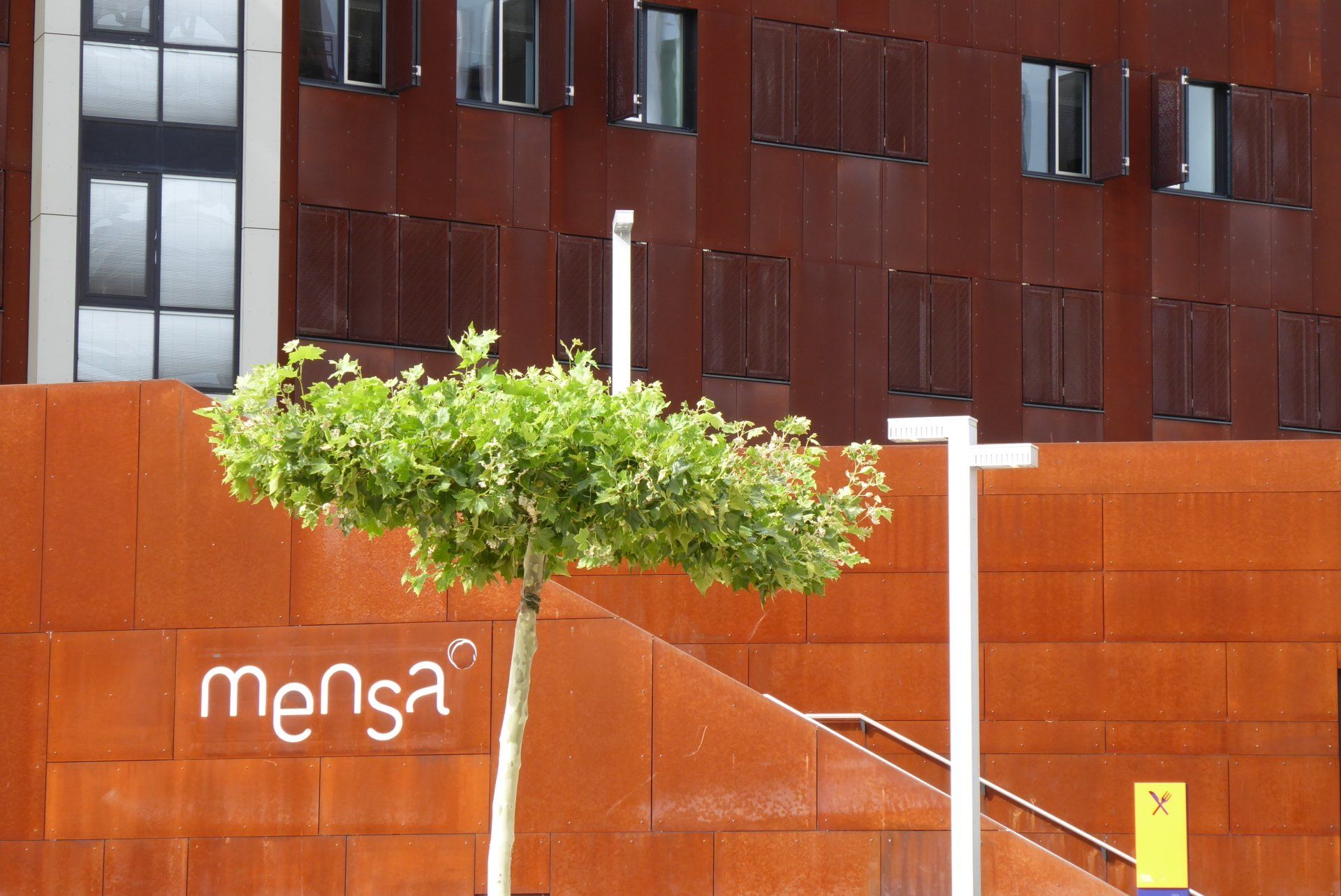 A tree in front of a building that says mensa