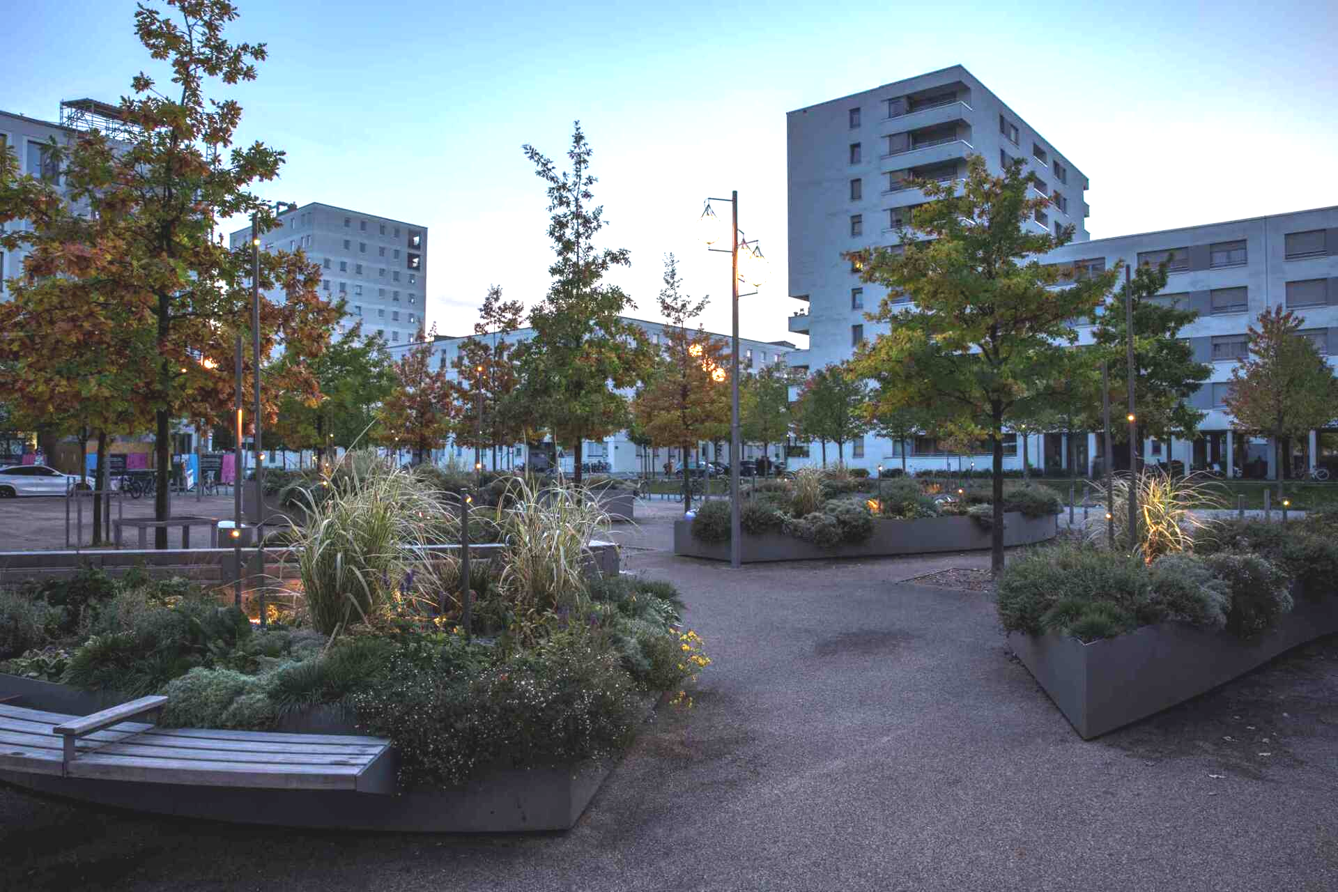 A park with a bench and trees and buildings in the background