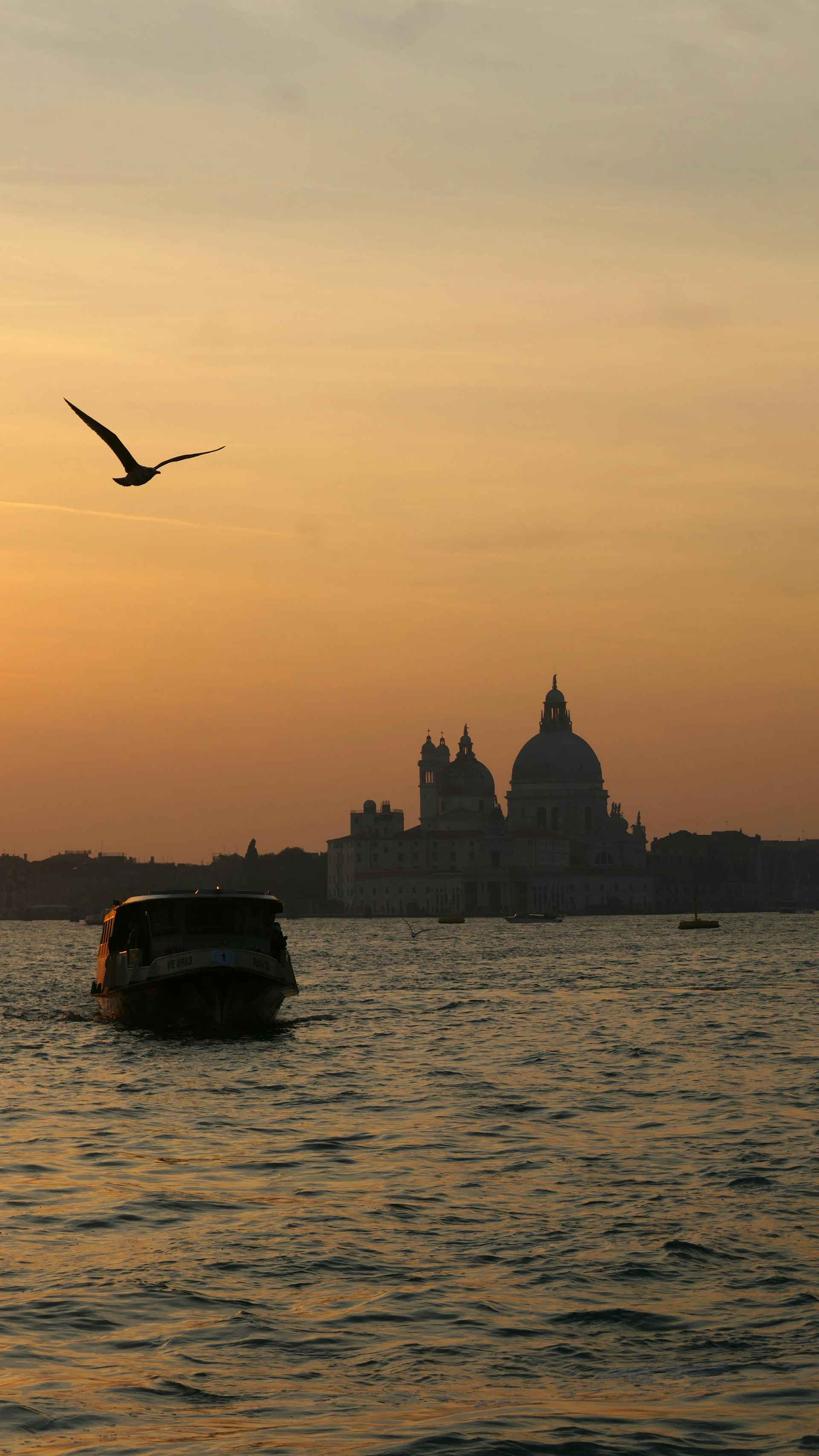 Coucher de soleil sur la lagune de Venise avec une gondole, une mouette et la silhouette de Santa Maria della Salute
