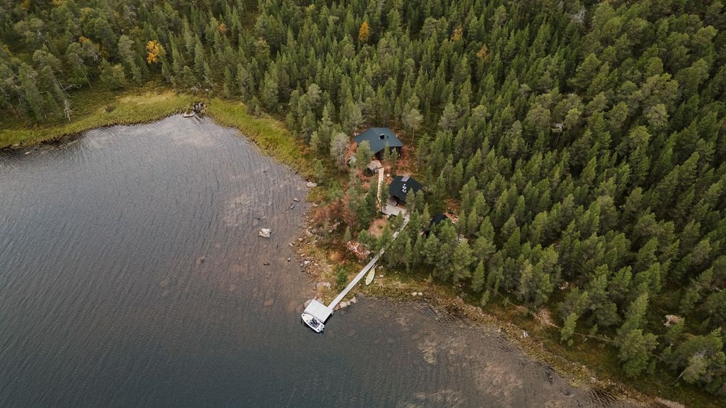 An aerial view of a lake surrounded by trees and a wooden dock.