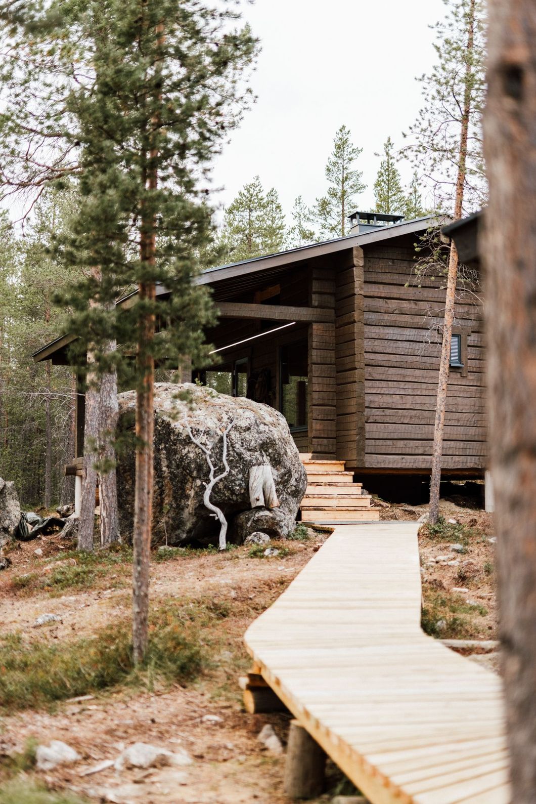 A wooden walkway leading to a wooden house in the middle of a forest.