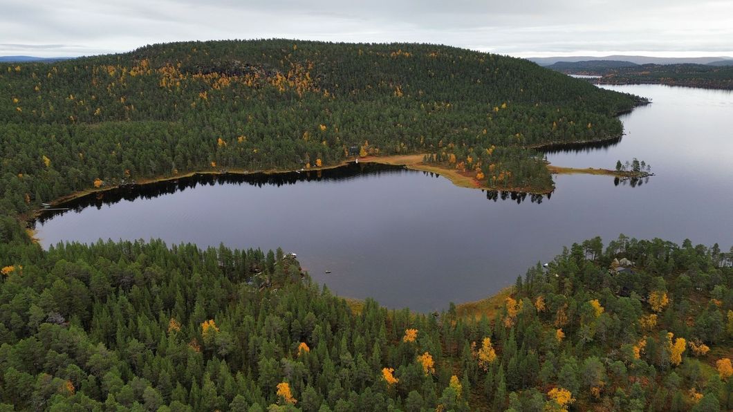 An aerial view of a lake surrounded by trees and a wooden dock.