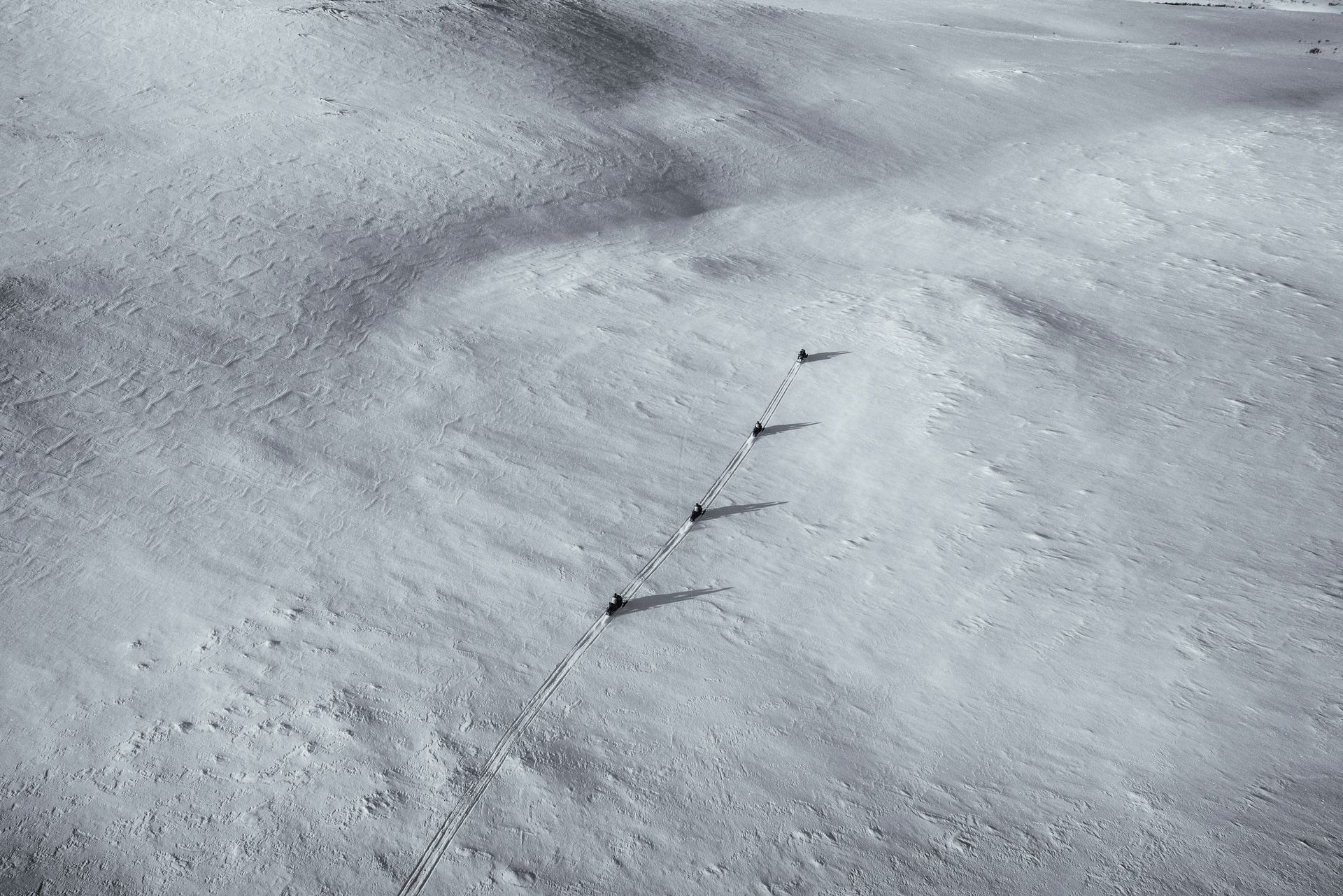A tractor is driving through a snowy field with trees in the background.