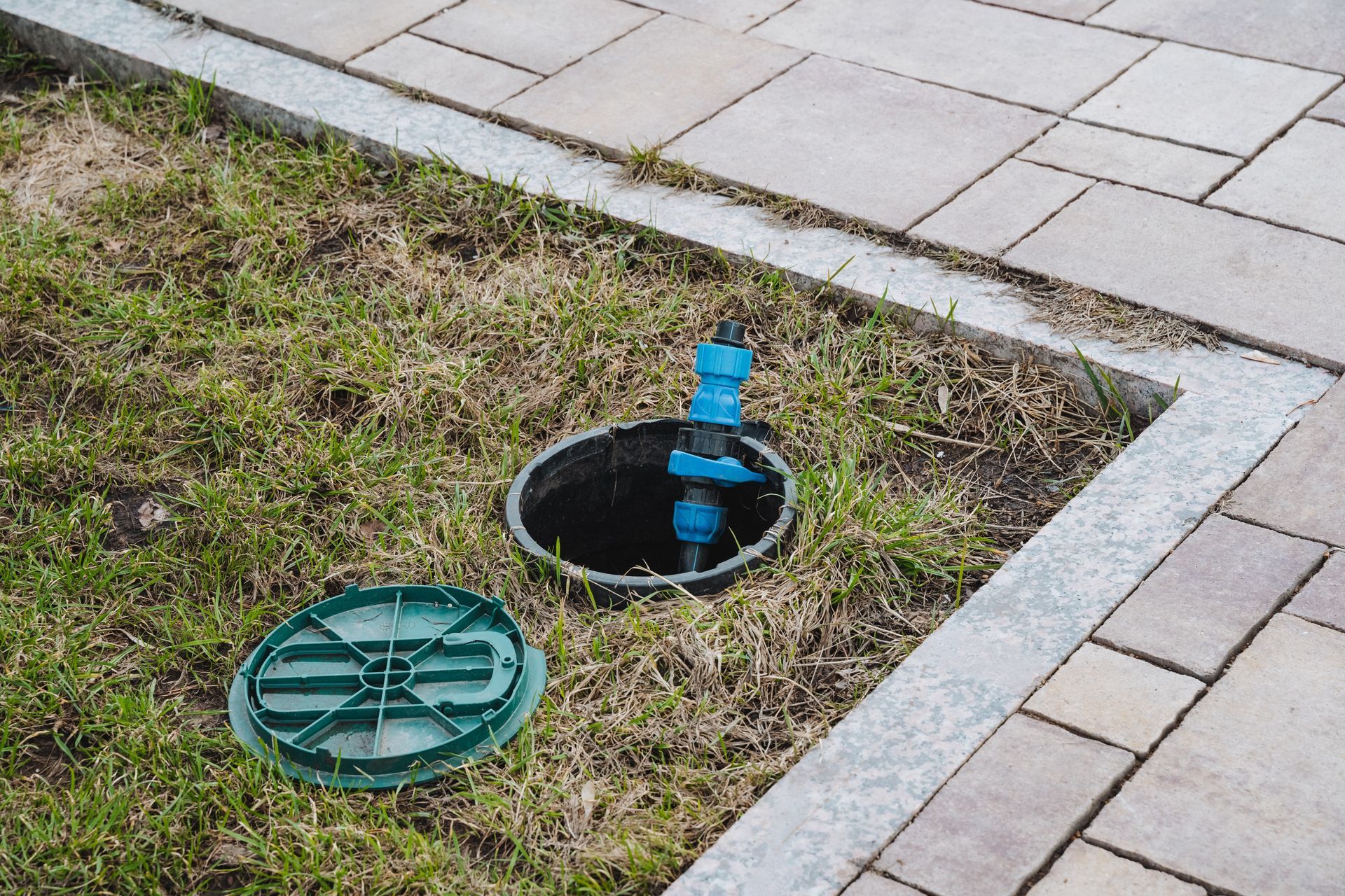 A green sprinkler system access point in grass, next to a stone patio with a blue hose attachment.