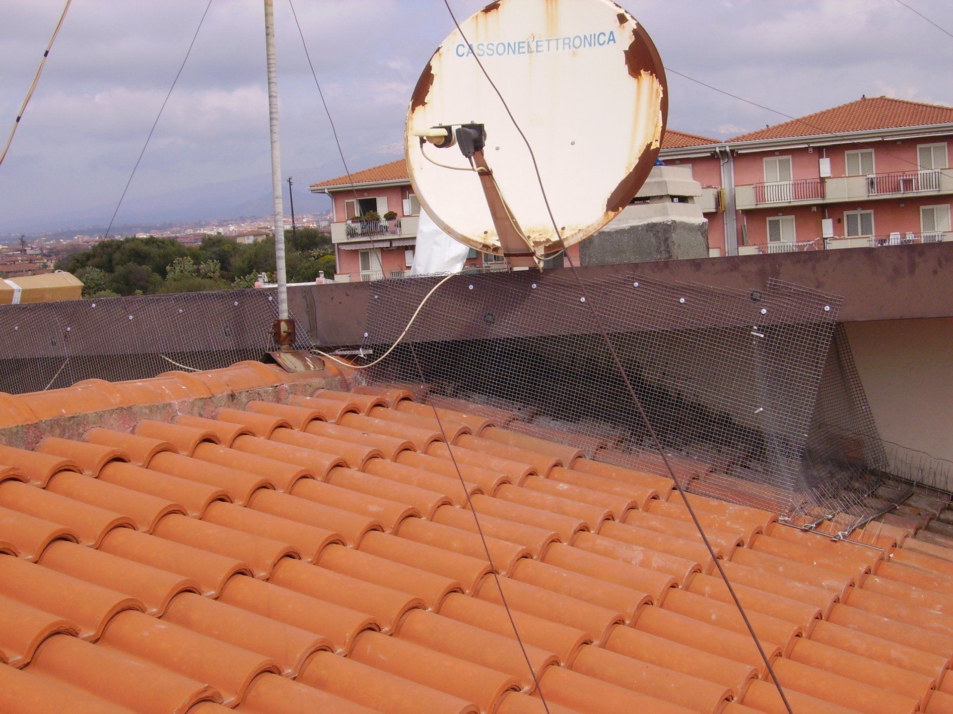 reti metalliche per volatili